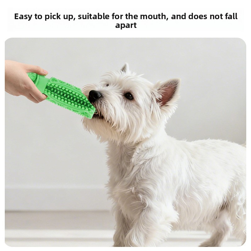 Pet Dental Chew Toy - Köpek Diş Temizleme Çiğneme Oyuncağı Vakumlu