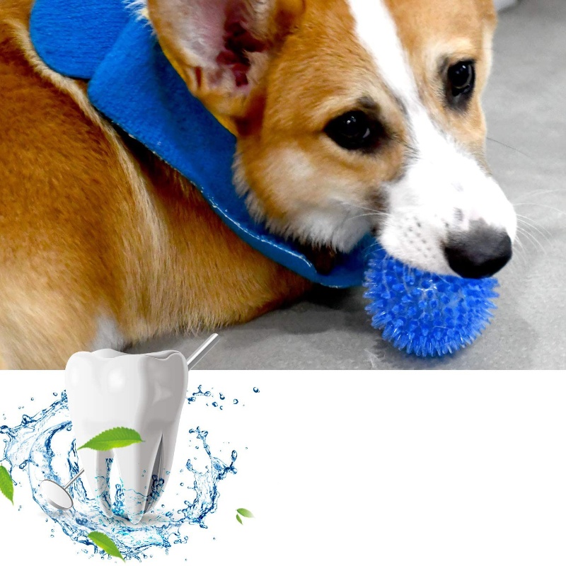 Kediler ve Köpekler için Ses Ç - Pet Dental Chew Toy incelemesi ve fiyatı