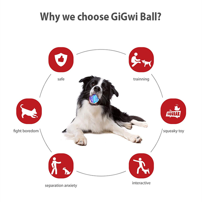 Evcil Köpek Yavrusu Sesli Çiğn - Pet Dental Chew Toy incelemesi ve fiyatı