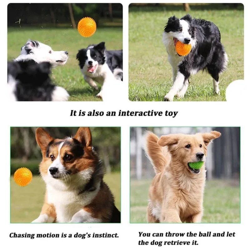 TPR Gıcırtılı Köpek Çiğneme Di - Pet Dental Chew Toy incelemesi ve fiyatı
