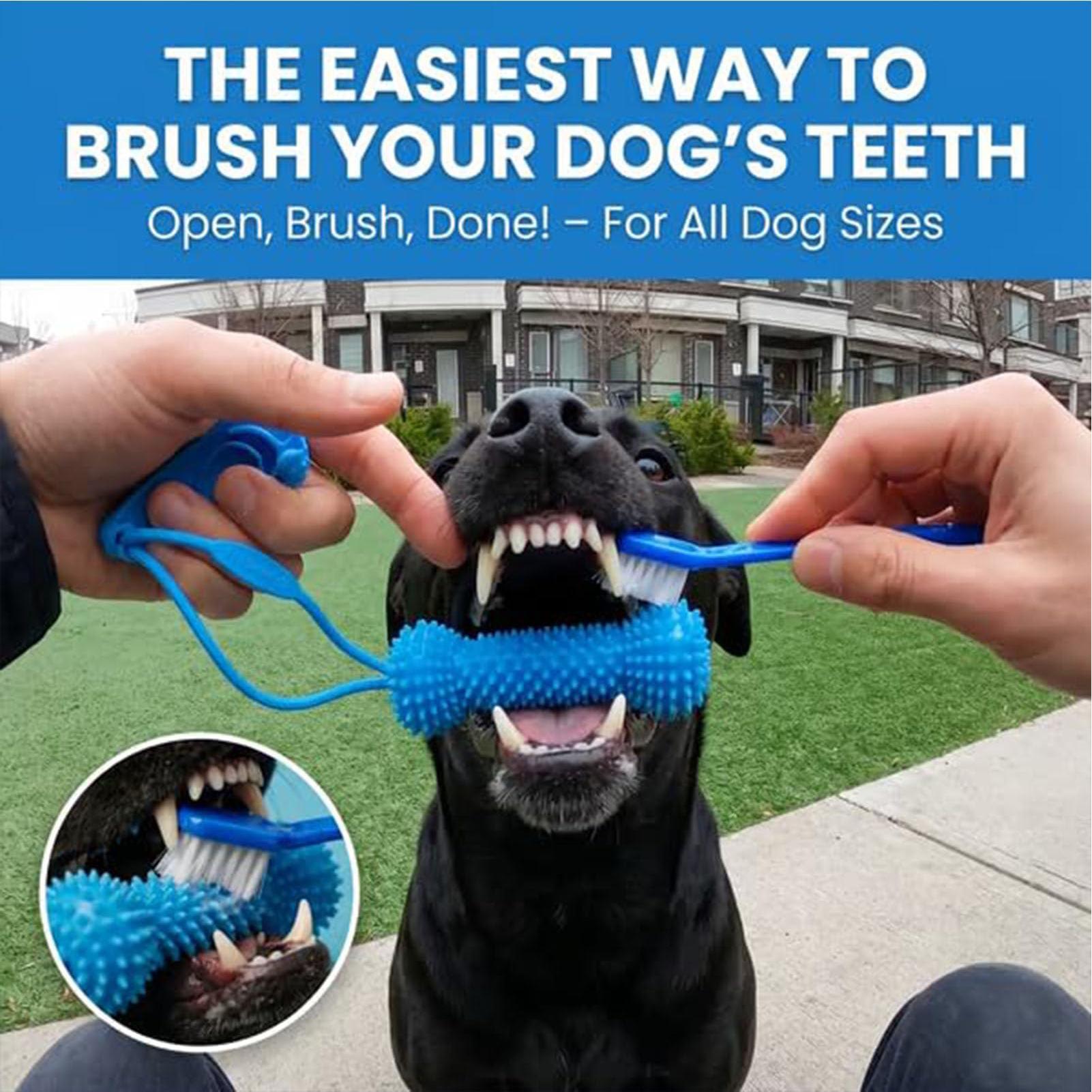 Köpek Diş Kaşıma Oyuncakları Ç - Pet Dental Chew Toy incelemesi ve fiyatı
