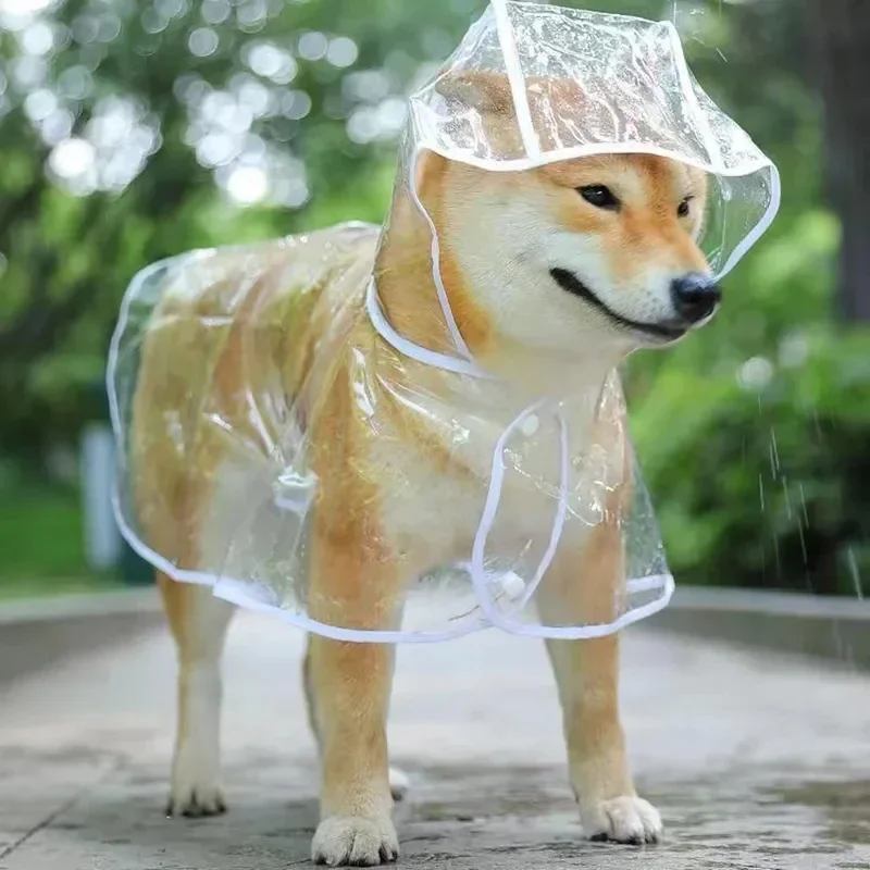 Köpek Yağmurluk Köpek Şeffaf Y - Dog Raincoat incelemesi ve fiyatı