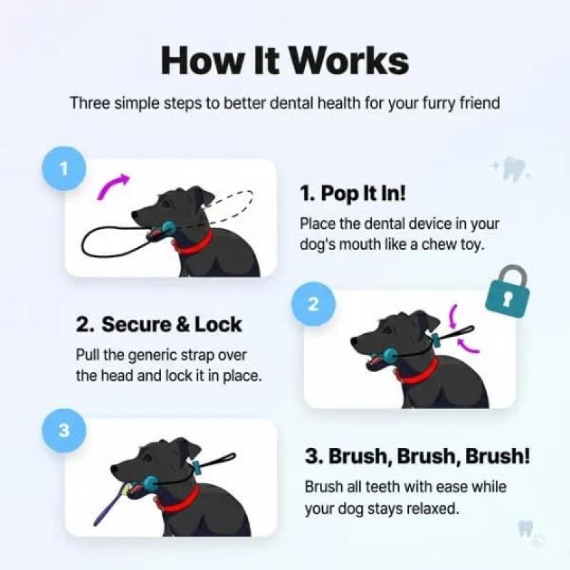 Çift Fonksiyonlu Evcil Hayvan  - Pet Dental Chew Toy incelemesi ve fiyatı