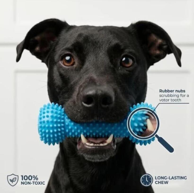 Çift Fonksiyonlu Evcil Hayvan  - Pet Dental Chew Toy incelemesi ve fiyatı