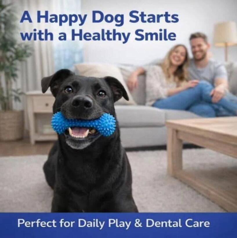 Çift Fonksiyonlu Evcil Hayvan  - Pet Dental Chew Toy incelemesi ve fiyatı