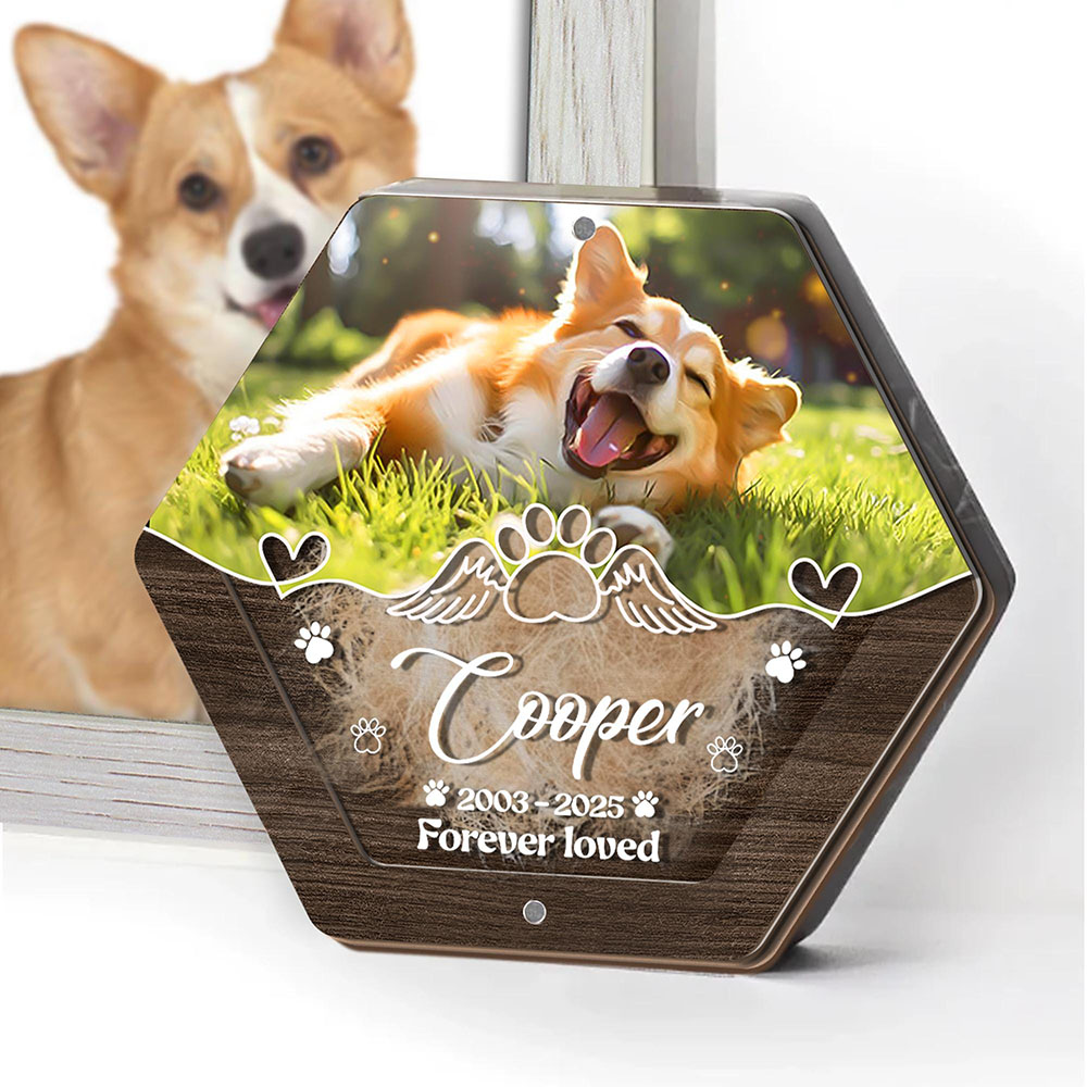 Kişiselleştirilmiş Adı Ahşap O - Pet Supplies Vending Machine incelemesi ve fiyatı