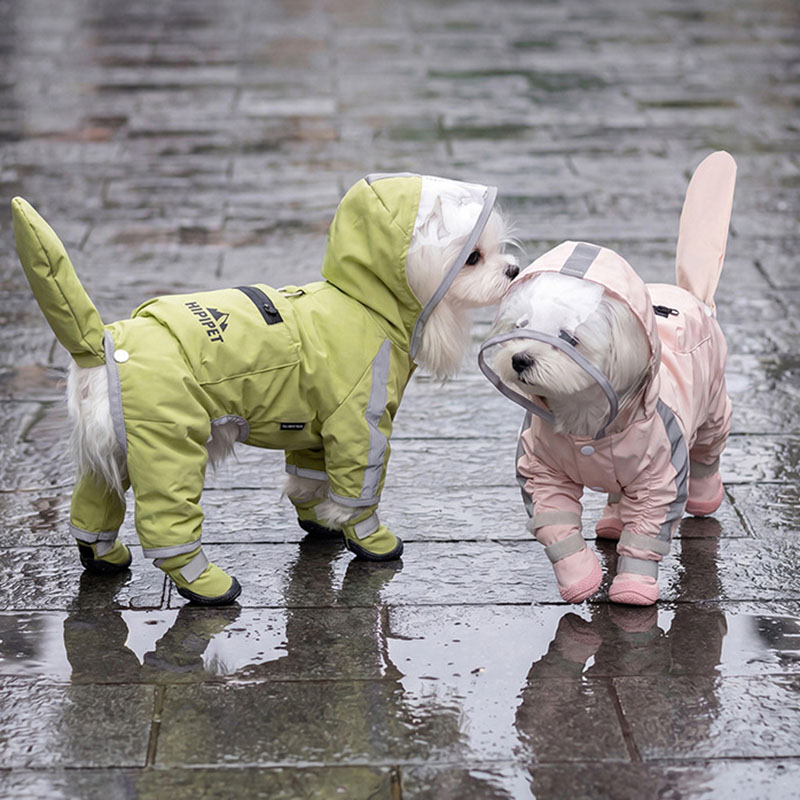 Su geçirmez Köpek Yağmurluğu Ş - Dog Raincoat incelemesi ve fiyatı