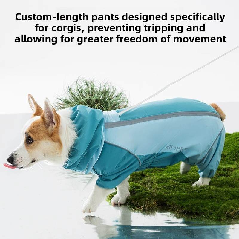 2026 Tam Kapsamlı Renk Bloklu  - Dog Raincoat incelemesi ve fiyatı