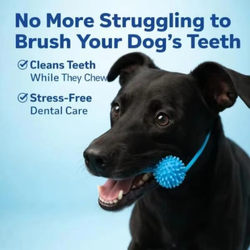 Evcil Köpek Diş Bakımı Çiğneme - Pet Dental Chew Toy incelemesi ve fiyatı