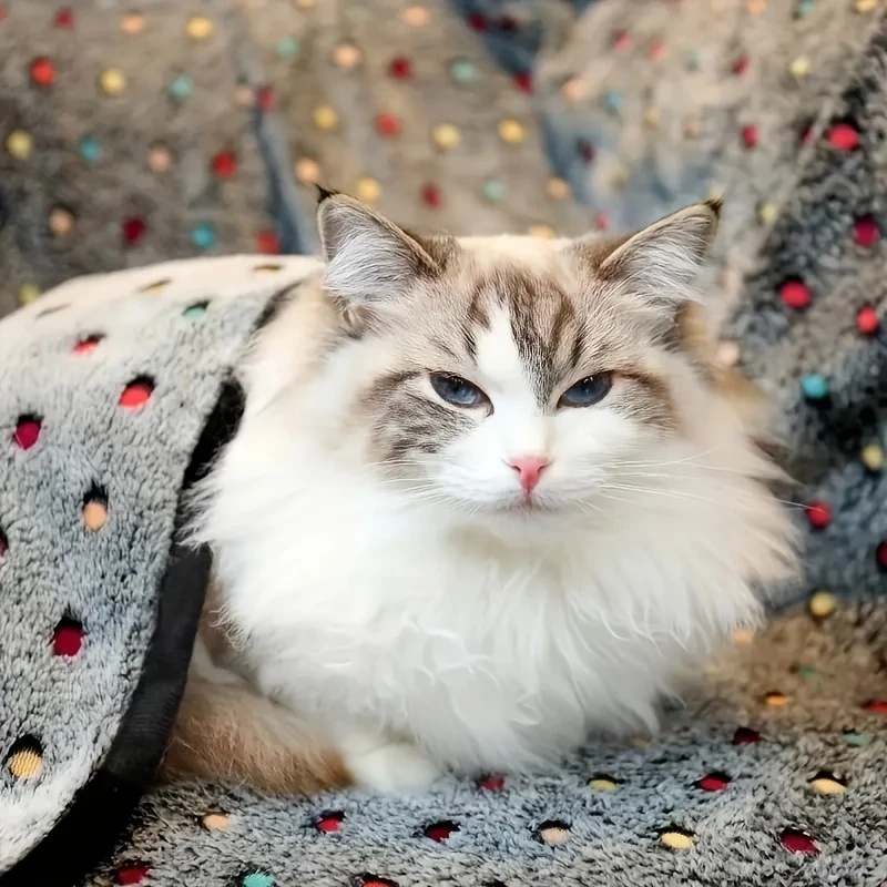 3 adet yumuşak kabarık evcil h - Pet Supplies Vending Machine incelemesi ve fiyatı